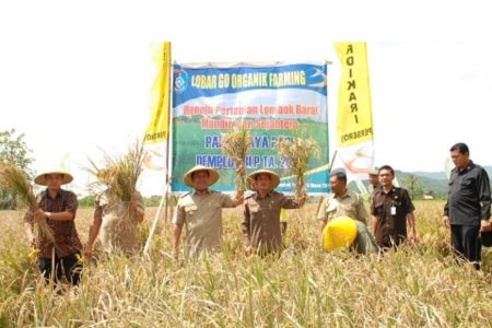 Ketahanan Pangan Lobar Eksekusi<br>Program Lumbung Pangan Masyarakat
