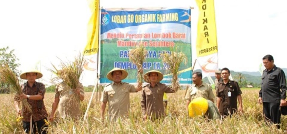 Ketahanan Pangan Lobar Eksekusi<br>Program Lumbung Pangan Masyarakat