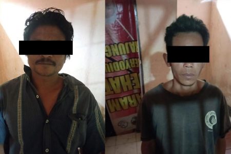 Gondol Tiga Ekor Sapi, Pelaku Diborgol Polisi
