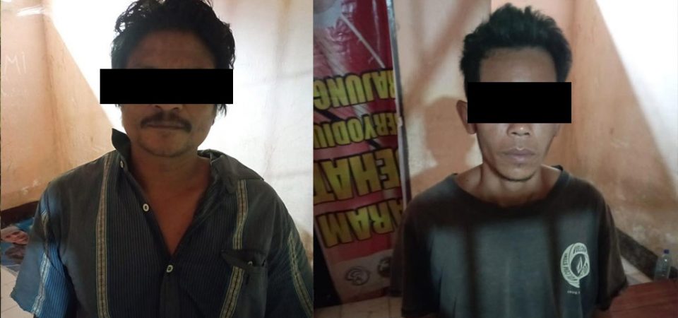 Gondol Tiga Ekor Sapi, Pelaku Diborgol Polisi