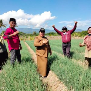 Progres Program Upland Sumbawa Berjalan Lancar, Petani Mulai Menikmati Hasil Panennya