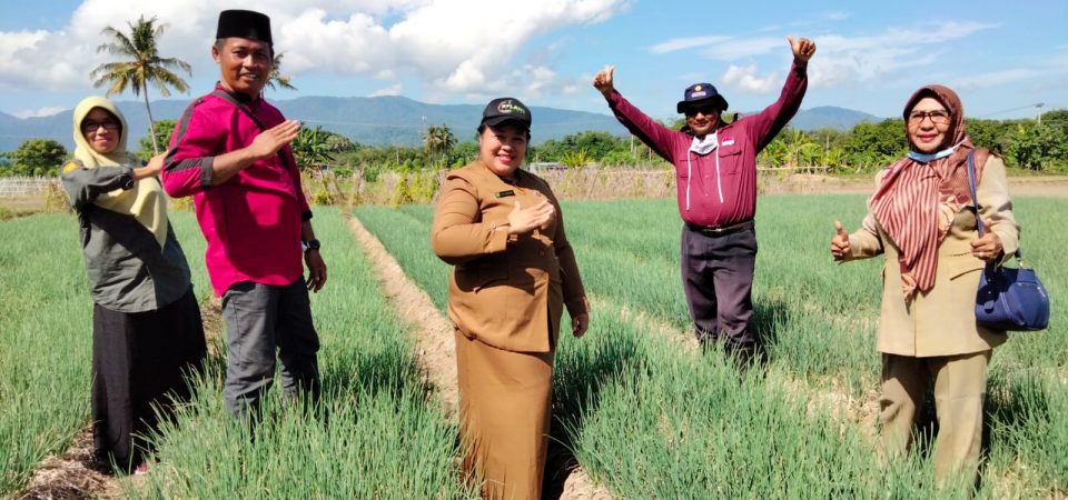 Progres Program Upland Sumbawa Berjalan Lancar, Petani Mulai Menikmati Hasil Panennya