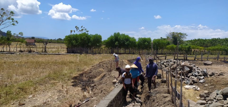 Diduga Sarat Muatan Politik, IP3A Sumbawa Soroti Program P3TGAI