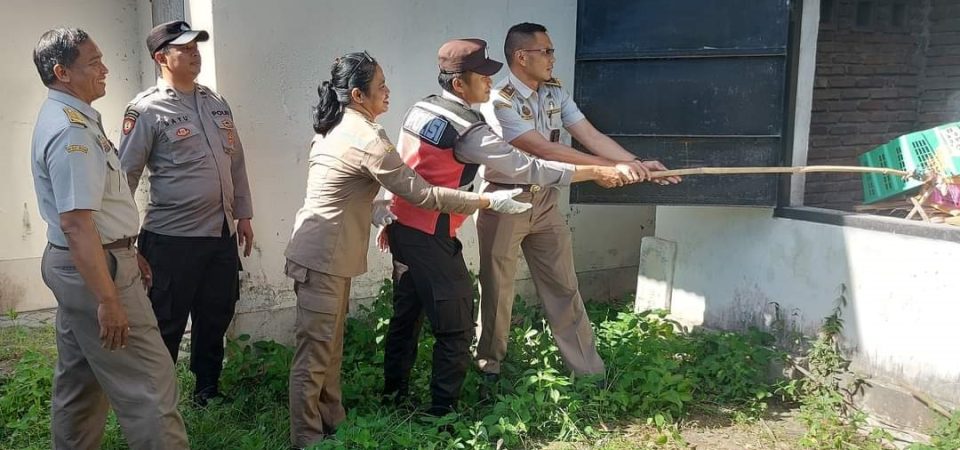 Tidak Berdokumen, Balai Karantina Musnahkan Love Bird dan Merpati
