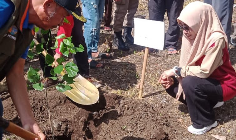 Caleg DPRD Provinsi NTB Umi Yaqut Tanam 4000 Pohon di Lotim