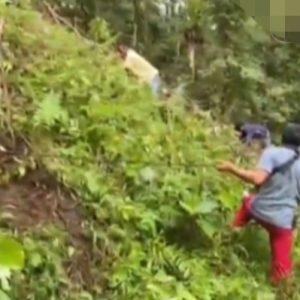 Peringati Hari Bumi Sedunia, PDAM Gelar Penghijauan di Kawasan Mata Air