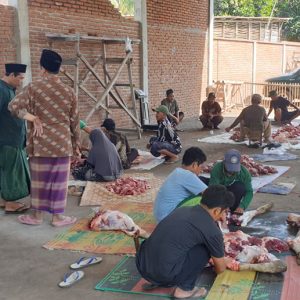 Idul Adha 1445, Pengurus Yafama NW Montong Tangi Sembelih 4 Hewan Kurban