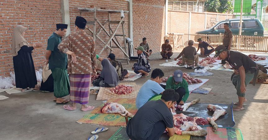 Idul Adha 1445, Pengurus Yafama NW Montong Tangi Sembelih 4 Hewan Kurban