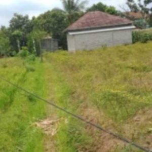 Warga Desa Bilebante Diresahkan Bentangan Kabel Listrik Jatuh