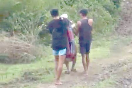 Jalan Rusak Parah, Ibu Mau Melahirkan Terpaksa Ditandu Puluhan Kilo ke Puskesmas
