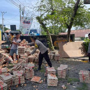 Ban Belakang Bocor, Truk Bermuatan Telur Terbalik di Lenek