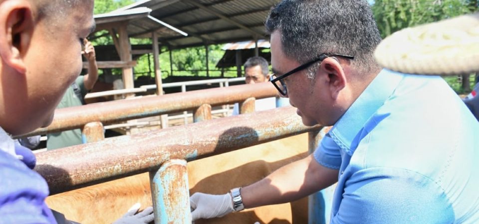 Potensi Peternakan Lombok Utara Tinggi, Wabup Resmikan Puskeswan Kayangan