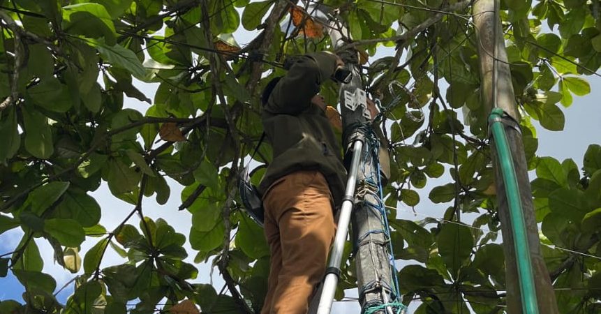 Diskominfo Loteng Perluas Jangkauan Internet Publik