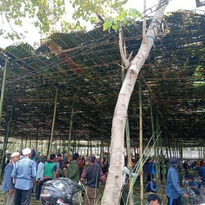 Kompak, Medan Hultah Akbar ke – 90 Madrasah NWDI Tuntas Dinaungi Tiga Jam