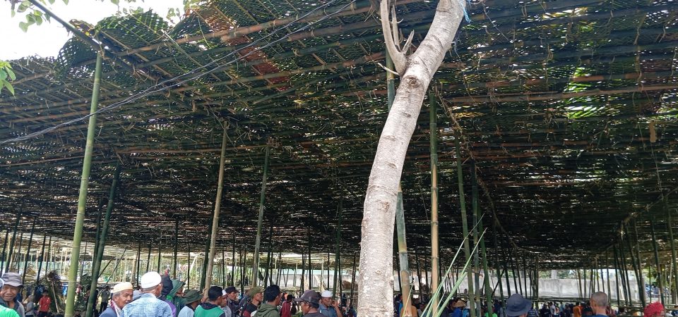 Kompak, Medan Hultah Akbar ke – 90 Madrasah NWDI Tuntas Dinaungi Tiga Jam