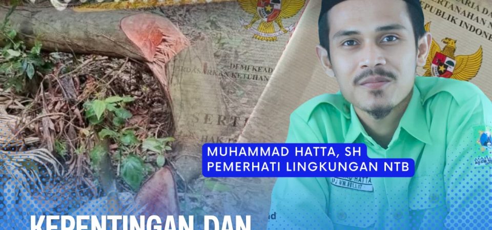 Keperihatinan Terhadap Kondisi Hutan Dam Kandidi yang Kian Gundul, Siapa yang Bertanggungjawab?