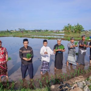 Masyarakat Gondang Lombok Utara Masih Lestarikan  Ritual Adat Dewasain