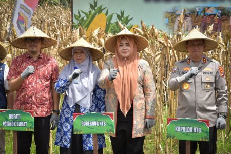 Hadiri Panen Raya Jagung Serentak di Desa Lembar Selatan, Ini Pesan Wagub NTB Hadiri