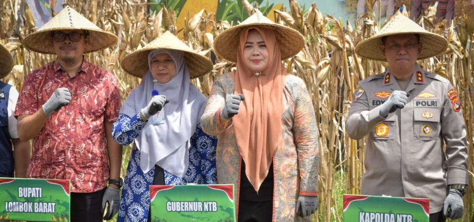 Hadiri Panen Raya Jagung Serentak di Desa Lembar Selatan, Ini Pesan Wagub NTB Hadiri