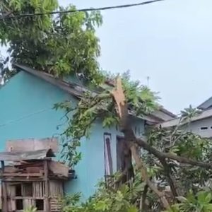 Hujan Lebat Disertai Angin Puting Beliung  Rusak Puluhan Atap Rumah Warga Kwangwae