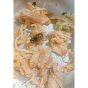 Penerima MBG di Jerowaru Mencret Diduga Usai Menyantap Menu MBG