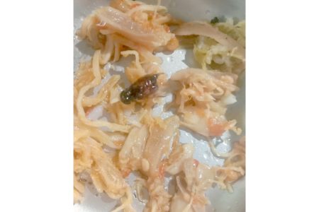 Penerima MBG di Jerowaru Mencret Diduga Usai Menyantap Menu MBG