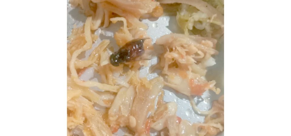 Penerima MBG di Jerowaru Mencret Diduga Usai Menyantap Menu MBG