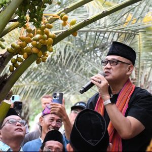Menteri Haji dan Umrah Lakukan Kunker ke Kawasan Kampung Kurma