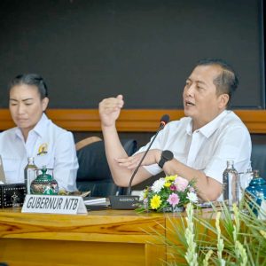 Dari Hilirisasi hingga Gili Tramena, Gubernur NTB dan Komisi VII Perkuat Transformasi Ekonomi NTB