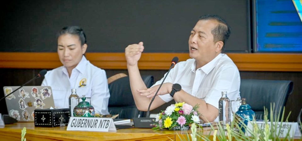 Dari Hilirisasi hingga Gili Tramena, Gubernur NTB dan Komisi VII Perkuat Transformasi Ekonomi NTB